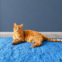 Jorgensen Labs Comfort Fleece Pad Small 27 x 15