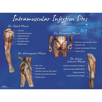 Heartsmart Life/form Intramuscular Injection Sites Poster