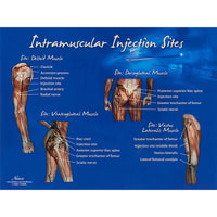 Heartsmart Life/form Intramuscular Injection Sites Chart
