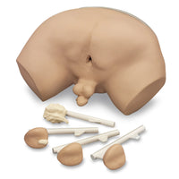 Heartsmart Life/form Prostate Examination Simulator
