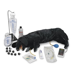Life/form Advanced CPR Dog Manikin with IV Leg and Feedback System