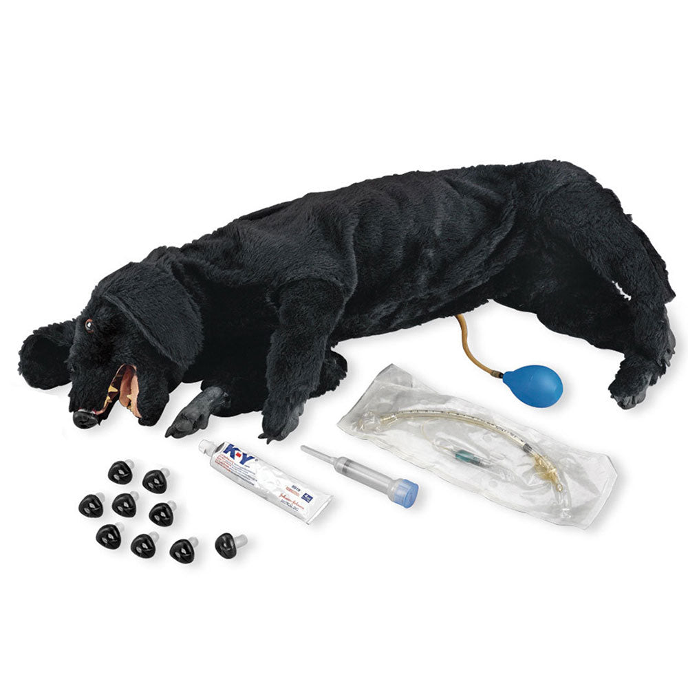 HeartSmart Life/form® Basic CPR Dog Manikin – Sanitary Canine Resuscitation Training System
