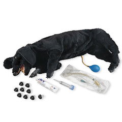 Life/form Basic CPR Dog Manikin with Sanitary Training Features