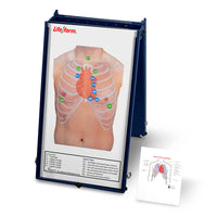 Heartsmart Life/form® Anterior Auscultation Practice Board with Case Only
