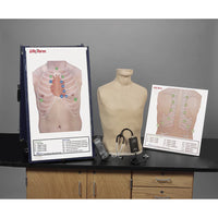 Heartsmart Life/form® Deluxe Auscultation Training Station