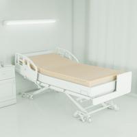 Span-America SP653-000 Foam Mattress Overlay