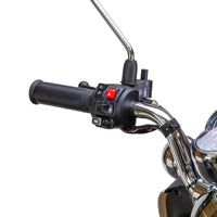 Bespoke Supreme 3-Wheel Mobility Scooter with Electric Brake