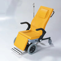 Pedia Pals Transfer and Recovery Wheelchair