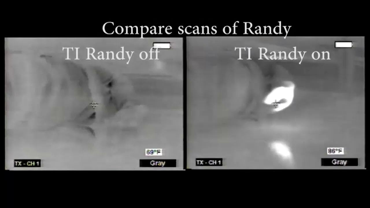 Heartsmart Simulaids Thermal Imaging Rescue Randy Large Body