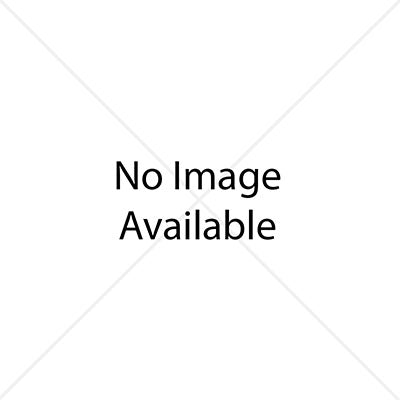 Intelect Focus Shockwave - Silicone Oil — for Shockwave Therapy in Clinical and Institutional Care