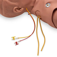 Heartsmart STAT Manikin with Deluxe Advanced Airway Management Head