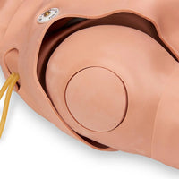 Heartsmart STAT Manikin with Deluxe Advanced Airway Management Head