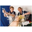 Heartsmart Laerdal Resusci Anne Advanced SkillTrainer AED Link with IV Left Arm