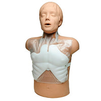 Heartsmart Simulaids CPR Brad Manikin Chest Plate