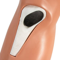 Heartsmart Simulaids Intraosseous Leg on Stand for Adult STAT Simulators