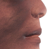 Heartsmart Simulaids 1st, 2nd, 3rd Degree Face Burns