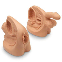 Heartsmart Life/Form® Male and Female Catheter Training Models