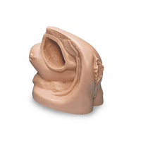 Heartsmart Life/Form® Male and Female Catheter Training Models
