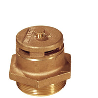 Justrite Brass Vertical Vent For Petroleum Based Applications, 2" Bung