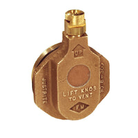 Justrite Brass Horizontal Drum Vent for Petroleum Based Applications, 2" Bung