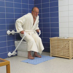 Mobeli QuattroPower Support Angle Adjustable Grab Bar System