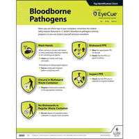 JJ Keller EyeCue Bloodborne Pathogens Laminated Poster