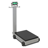 Cardinal Legal-For-Trade Portable Floor Scale