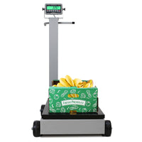 Cardinal Legal-For-Trade Portable Floor Scale