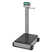 Cardinal Legal-For-Trade Portable Floor Scale