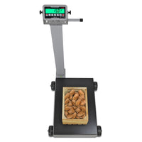 Cardinal Legal-For-Trade Portable Floor Scale