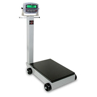 Cardinal Legal-For-Trade Portable Floor Scale