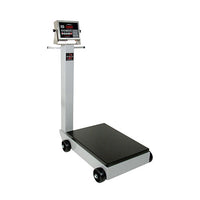Cardinal Legal-For-Trade Portable Floor Scale