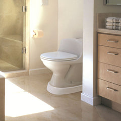 Hart Vision Group Toilevator Elevated Toilet Platform