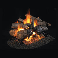 Real Fyre 24 Inch See-Thru Charred American Oak Vented Gas Logs (CHAO-2-24)