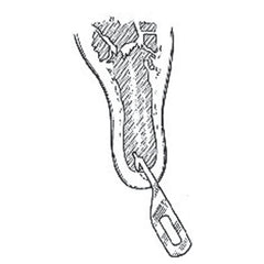 Jorgensen Labs Teat Blades (Pack of 6)