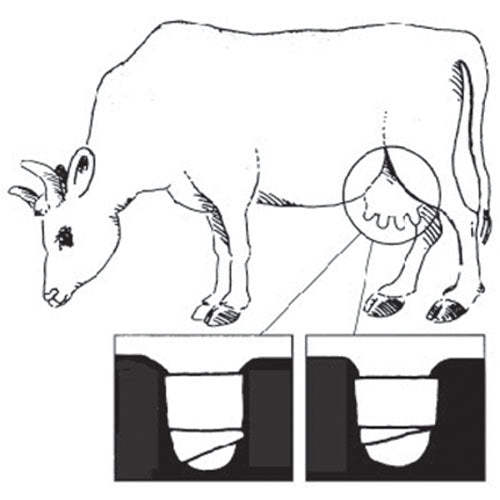Jorgensen Labs Teat Bandage | Adhesive Protective Barrier for Post-Surgical and Traumatic Teat Repair
