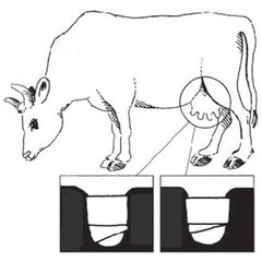 Jorgensen Labs Teat Bandage