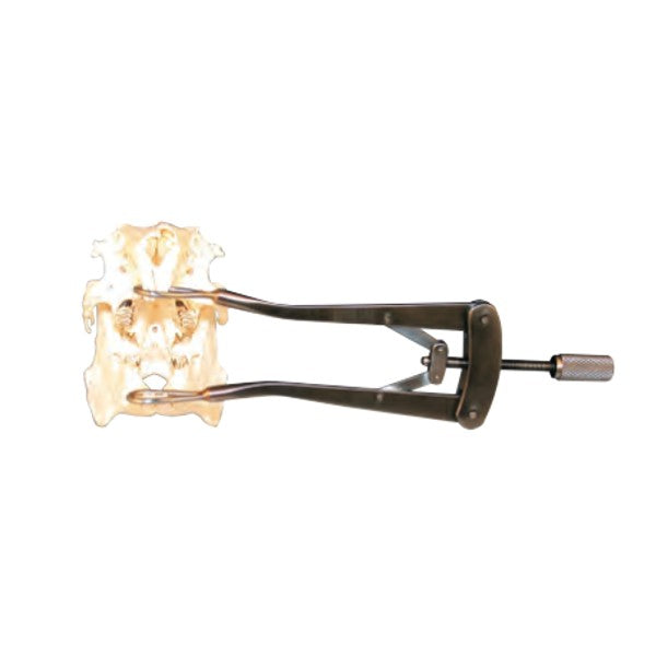 Jorgensen Labs J0051RGS Lightweight Rodent Mouth Gag