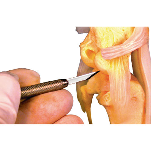 Jorgensen Labs Micro Scalpel Blade | High-Precision Stainless Steel Microsurgical Edge