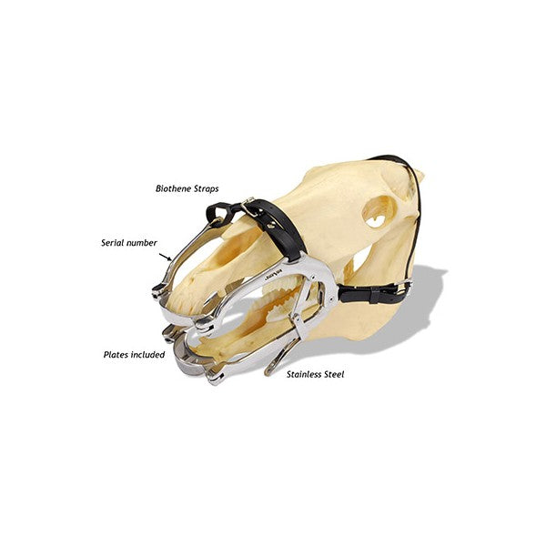Jorgensen Labs JorVet Equine Mouth Gag, Millennial Model – Advanced Safety and Stability for Veterinary Dental Care
