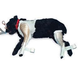 Jorgensen Labs J0119R Quick Splint Medium Rear Leg (Pair)