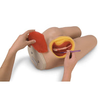 Life/form Intramuscular Injection Simulator