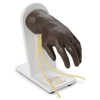 Life/form Advanced Hand IV Training Simulators