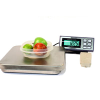 LW Measurements Tree PIZA Bench Scale