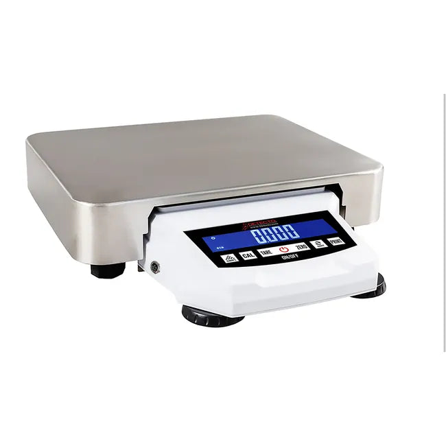 Detecto DP Series Digital Precision Balance Scales