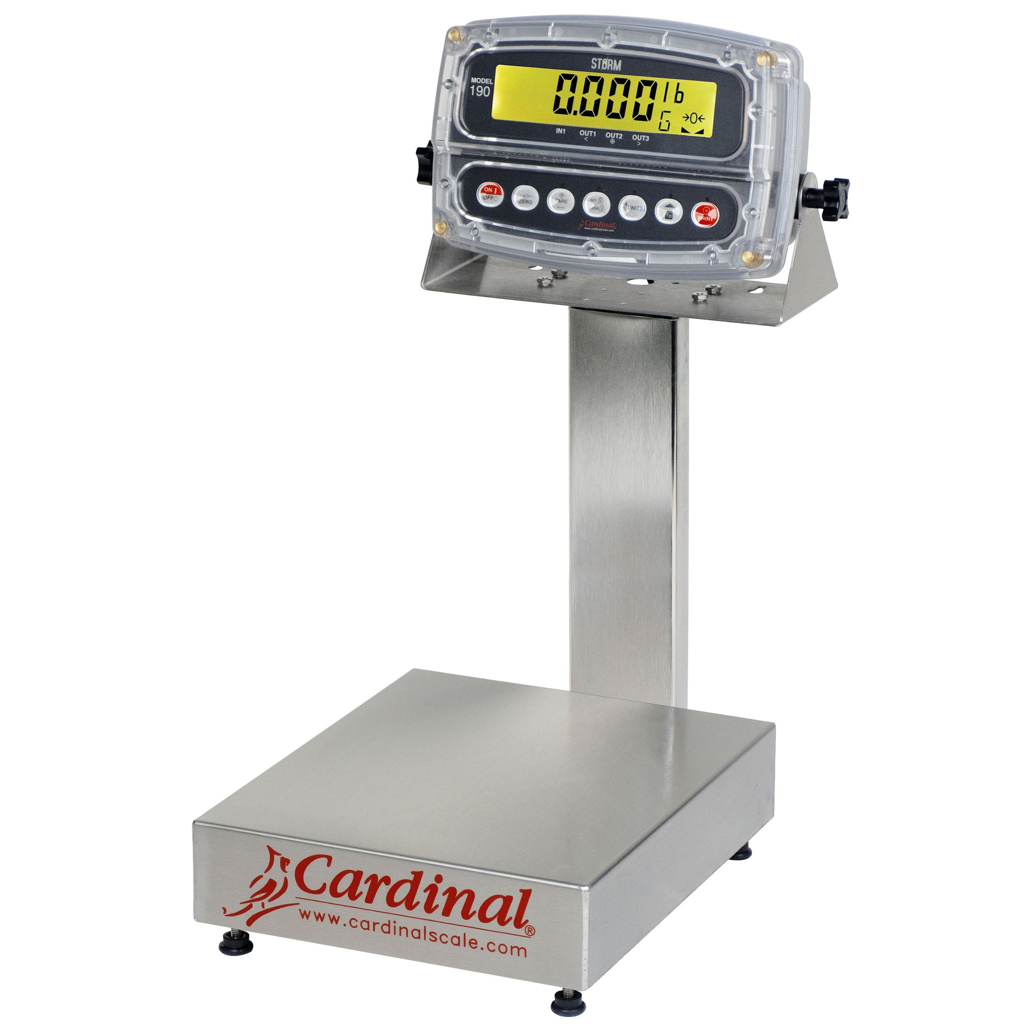 Detecto EB-150-190 150 lb/60 kg Bench Scale w/ 190 Indicator