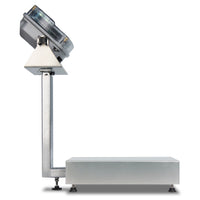 Cardinal EB-190 Series Bench Scale