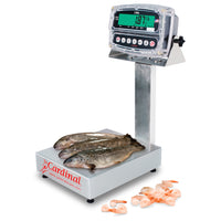 Cardinal EB-190 Series Bench Scale