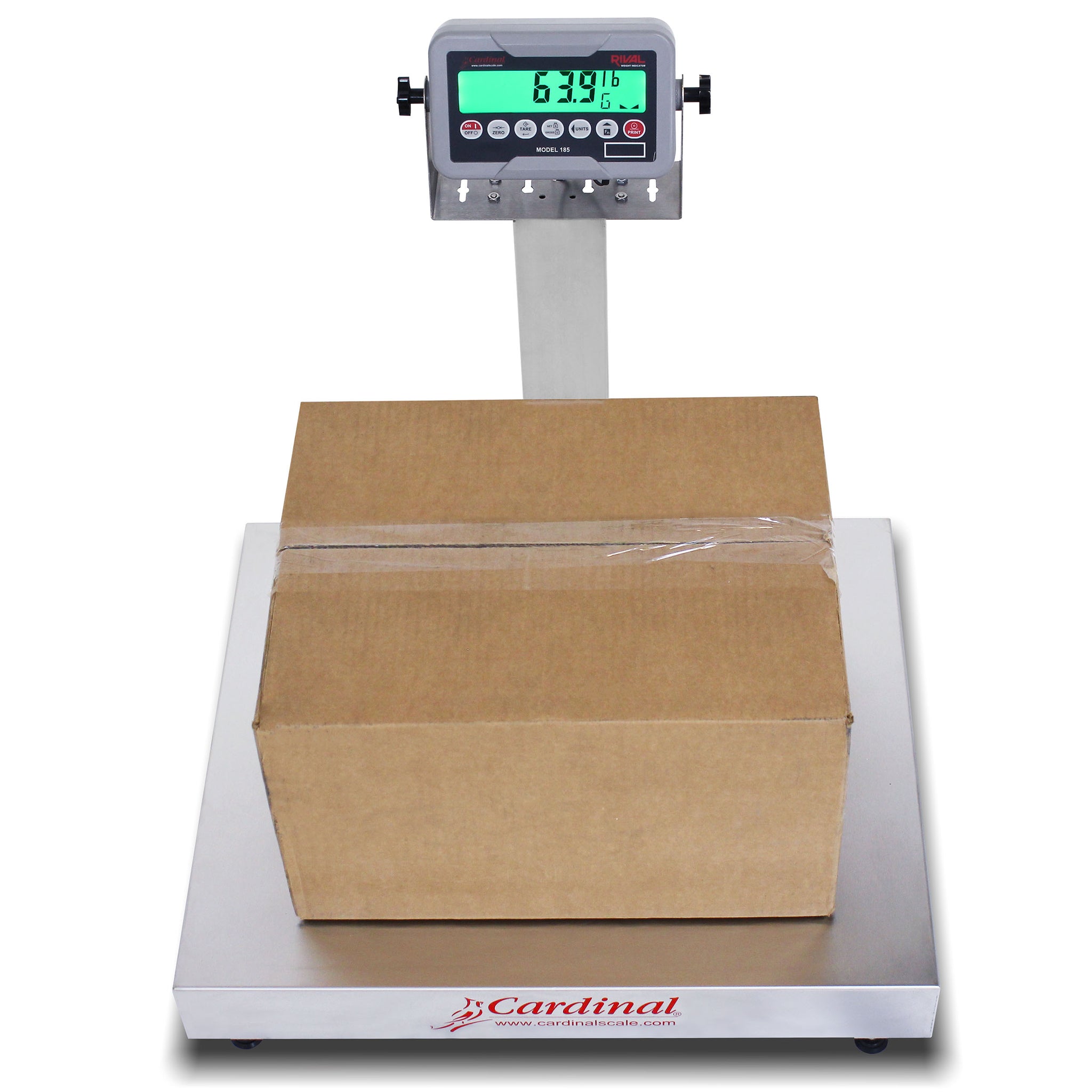 Cardinal & Detecto EB-15-185B 12 x 10 in. 15 lbs Stainless Steel 185B Indicator Electronic Bench Scale