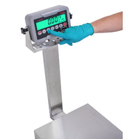 Cardinal EB-185 Series Bench Scale